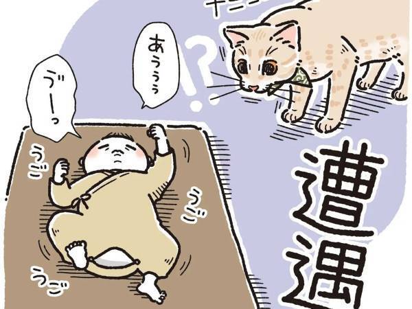 赤ちゃんと初対面した猫　斜め上の行動に、吹き出す　「ただただ愛おしい」