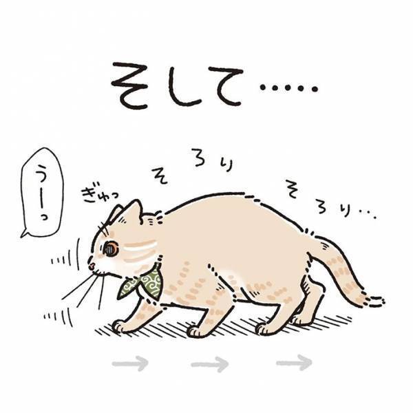 赤ちゃんと初対面した猫　斜め上の行動に、吹き出す　「ただただ愛おしい」