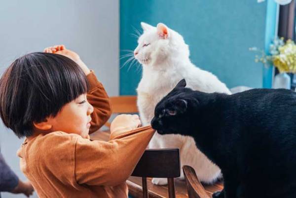 ちょっかいを出すと横から？　１人と２匹のやりとりに「漫画みたい」「笑った」の声