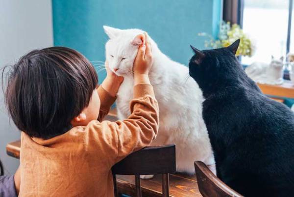 ちょっかいを出すと横から？　１人と２匹のやりとりに「漫画みたい」「笑った」の声