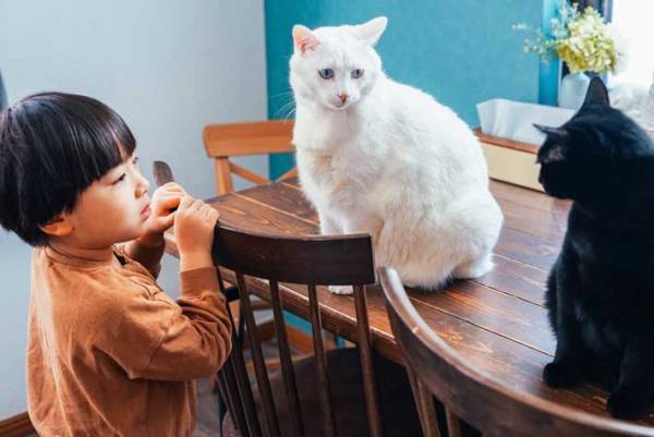 ちょっかいを出すと横から？　１人と２匹のやりとりに「漫画みたい」「笑った」の声