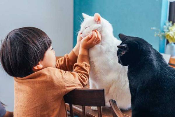 ちょっかいを出すと横から？　１人と２匹のやりとりに「漫画みたい」「笑った」の声