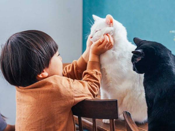 ちょっかいを出すと横から？　１人と２匹のやりとりに「漫画みたい」「笑った」の声