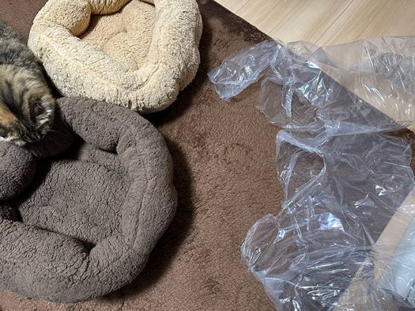 愛猫たちが暖かく過ごせるよう、猫用ベッドを購入した結果？　「そっちかーい！」