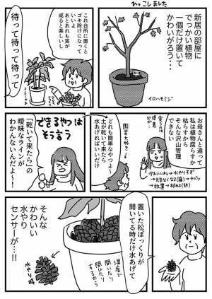 娘「植物を枯らしてしまう」　園芸大好きな母からの助言に「知らなかった」「真似します！」