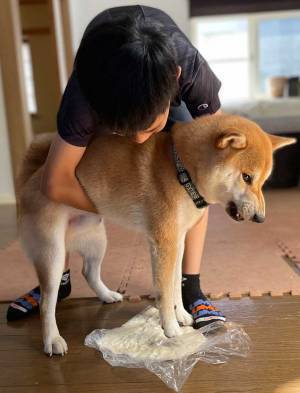 「笑った」「めっちゃ怒ってる」　家族でうどん作り、ほほ笑ましい光景のはずが…？