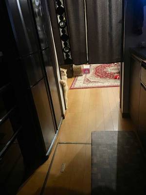 「ストーカーがいる」　妻から送られてきた２枚、写っていたのは…？