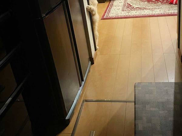 「ストーカーがいる」　妻から送られてきた２枚、写っていたのは…？