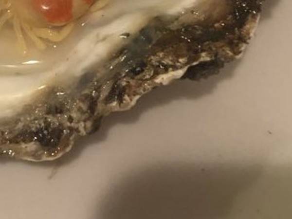 「カキ焼いたら先客がいた」　貝殻を開けたところにいたのは…