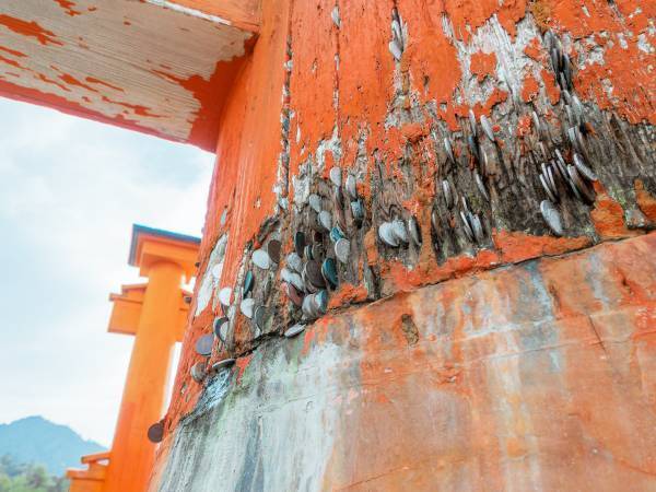 『参拝のデマ』で神社が悲鳴　被害の内容に「これは酷い」「広まってほしい」