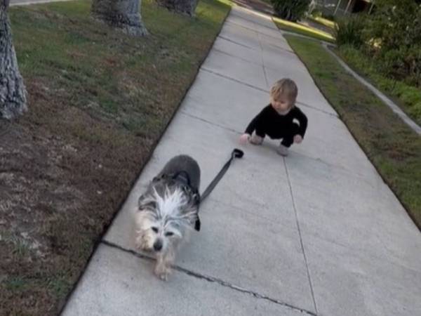 犬のリードをうっかり手放した女の子　続く展開に「史上もっとも遅い追跡劇」