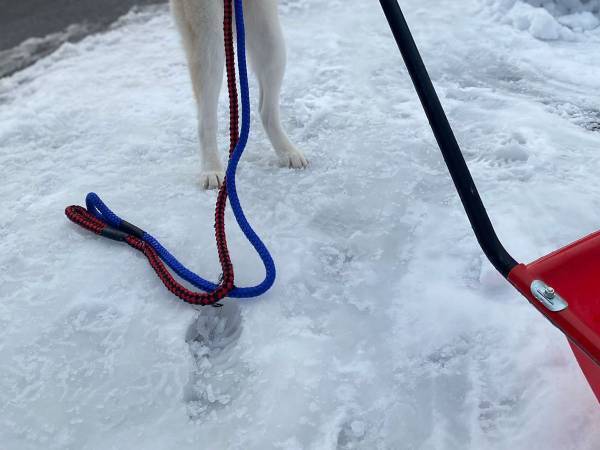大雪の新潟県で撮影された１枚　雪かき中の光景に二度見必至！？
