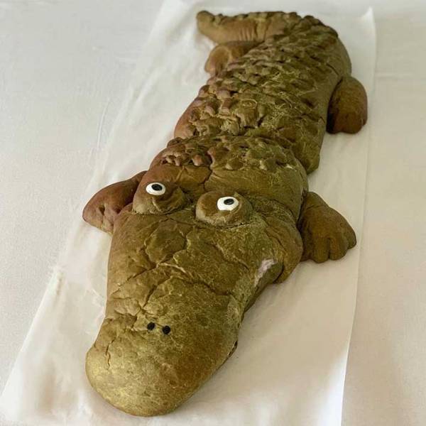 キッチンに、全長７０cmの『ワニ』が…！？　つぶらな瞳に癒される