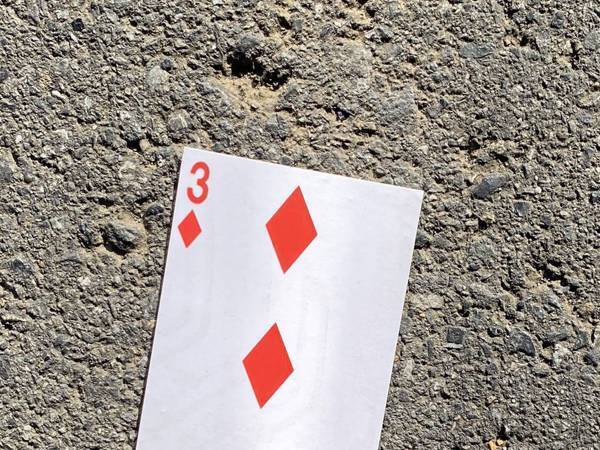 「大丈夫だったかな？」　心配の声が上がる『落とし物』が発見される