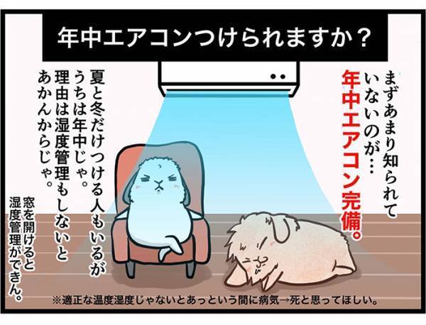 「ウサギって飼うのが楽そう」にズバリ！　飼い主の反論に「本当にそう」「世に広まれ！」