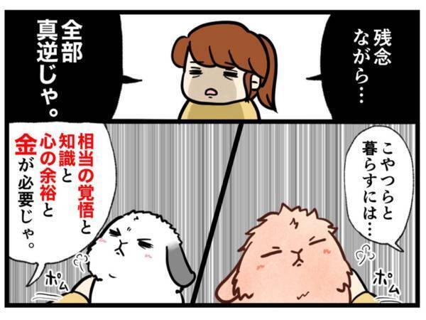 「ウサギって飼うのが楽そう」にズバリ！　飼い主の反論に「本当にそう」「世に広まれ！」