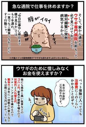 「ウサギって飼うのが楽そう」にズバリ！　飼い主の反論に「本当にそう」「世に広まれ！」