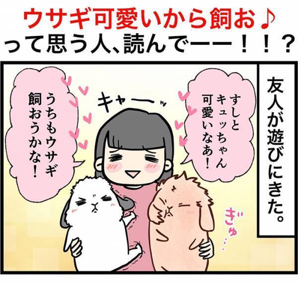 「ウサギって飼うのが楽そう」にズバリ！　飼い主の反論に「本当にそう」「世に広まれ！」