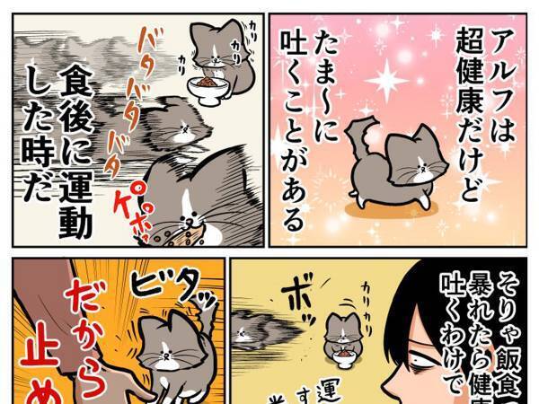 猫の嘔吐を止めようとした飼い主　起こった『悲劇』に「分かりすぎて泣く」「猫飼いの宿命」