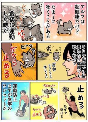 猫の嘔吐を止めようとした飼い主　起こった『悲劇』に「分かりすぎて泣く」「猫飼いの宿命」