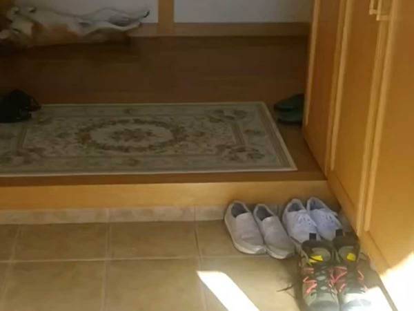 飼い主が帰宅しても出迎えない柴犬　ポーズに「笑いが止まらない」「大物すぎる」