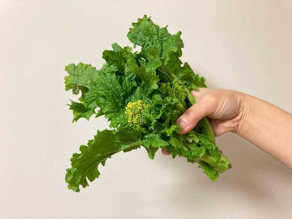 JA全農の『菜の花の食べ方』に注目集まる　「絶対においしい」「この発想はなかった」