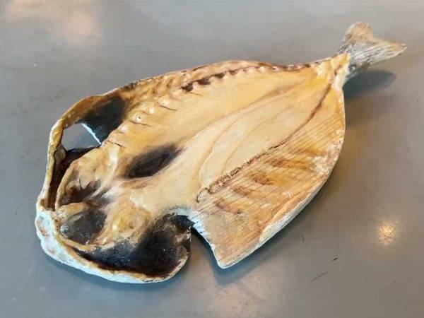 師匠も脱帽！　小３女子が作った木彫りの作品に「嘘だろ…」「本物にしか見えない」