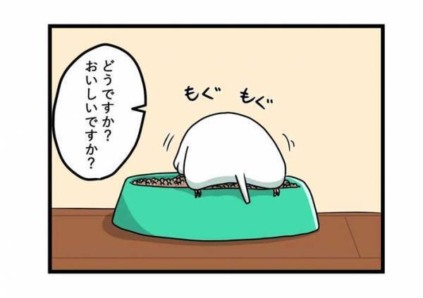 水浴び後のインコに、飼い主がツッコんだ理由とは？　「顔どうした」