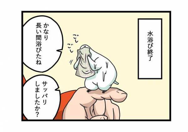 水浴び後のインコに、飼い主がツッコんだ理由とは？　「顔どうした」
