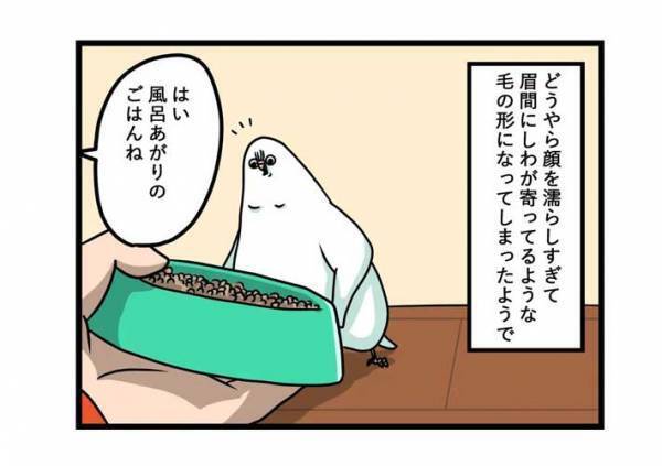 水浴び後のインコに、飼い主がツッコんだ理由とは？　「顔どうした」