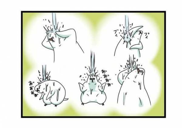 水浴び後のインコに、飼い主がツッコんだ理由とは？　「顔どうした」