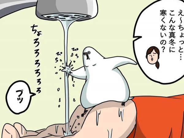 水浴び後のインコに、飼い主がツッコんだ理由とは？　「顔どうした」