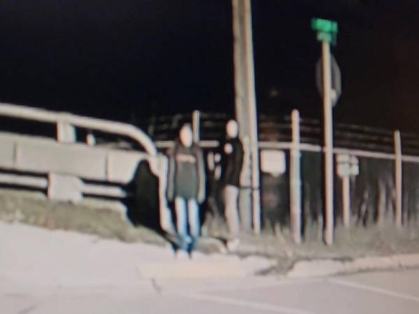 「なんて残酷なことを！」　道端で子犬を見つけた女性　抱きかかえた次の瞬間…