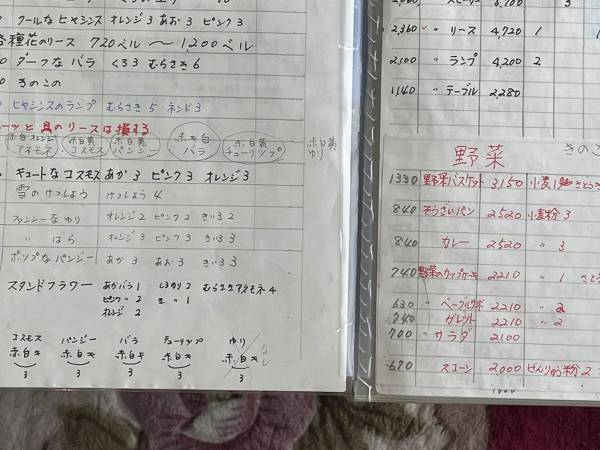 『あつ森』に夢中な７７歳の母親　ノートに書いた事に「研究熱心！」