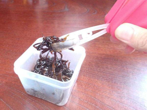 わざわざ箸を汚したくない…！　発見したトング付きの容器が「便利すぎる」「手入れもラク」