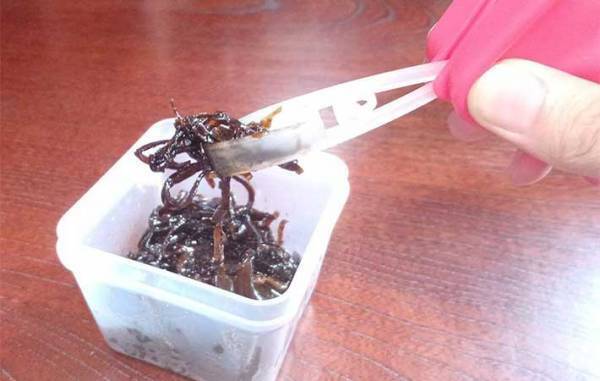 わざわざ箸を汚したくない…！　発見したトング付きの容器が「便利すぎる」「手入れもラク」