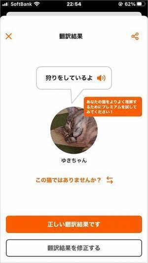 猫語翻訳アプリで「調子が悪い」　病院に連れて行くと「驚いた」