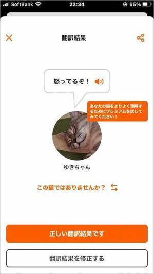 猫語翻訳アプリで「調子が悪い」　病院に連れて行くと「驚いた」