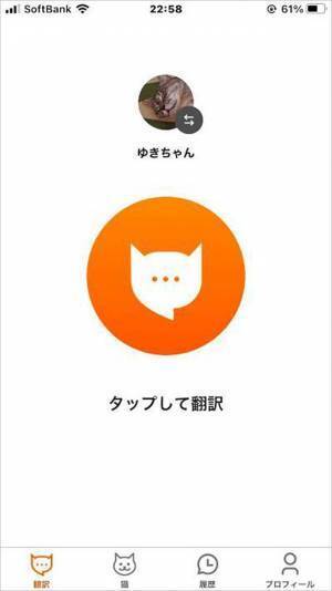 猫語翻訳アプリで「調子が悪い」　病院に連れて行くと「驚いた」
