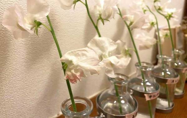 調味料と漂白剤で生花を長持ちさせる方法に「驚いた！」