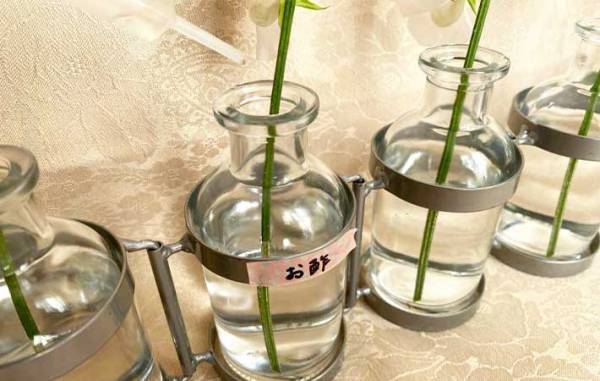 調味料と漂白剤で生花を長持ちさせる方法に「驚いた！」