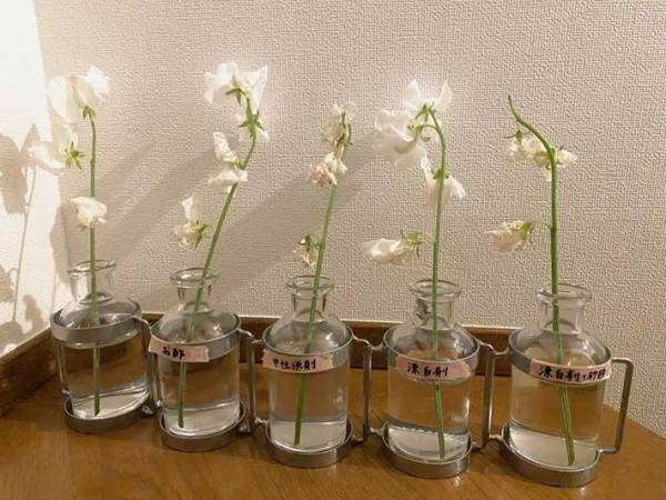 調味料と漂白剤で生花を長持ちさせる方法に「驚いた！」
