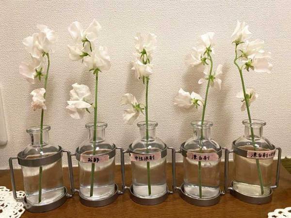 調味料と漂白剤で生花を長持ちさせる方法に「驚いた！」