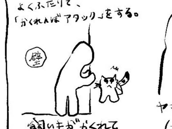 遊んであげていた、飼い主　しかし、猫の表情をよく見ると…？