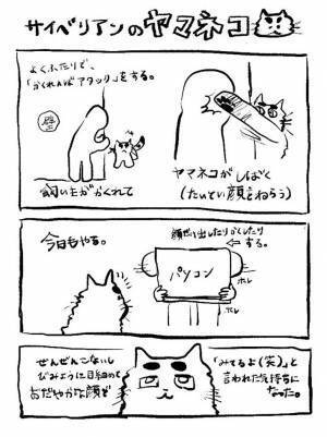 遊んであげていた、飼い主　しかし、猫の表情をよく見ると…？