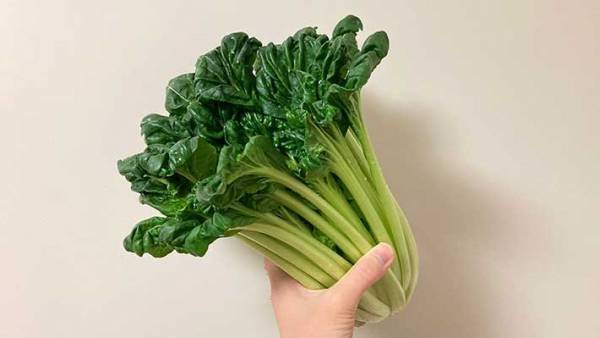 「こういう風に食べるのか」「買っておけばよかった」　JA全農が公開した『ターサイレシピ』に反響