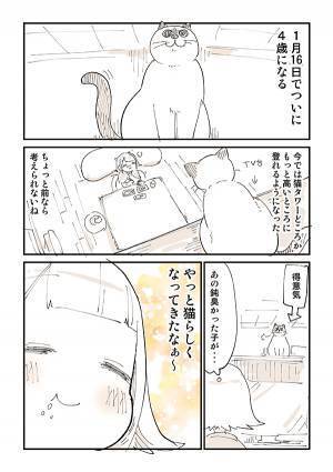 展開に猫飼いから「笑って鼻水が出た」「超分かる」　『鈍くさい子猫』が４年後？