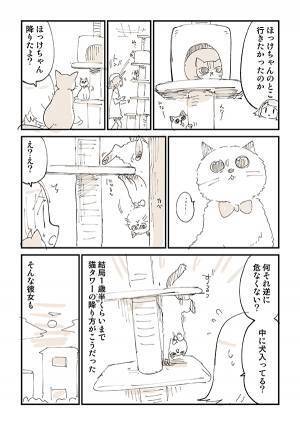 展開に猫飼いから「笑って鼻水が出た」「超分かる」　『鈍くさい子猫』が４年後？