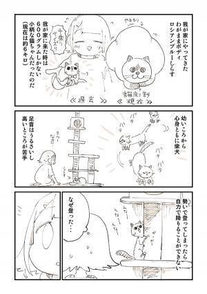 展開に猫飼いから「笑って鼻水が出た」「超分かる」　『鈍くさい子猫』が４年後？