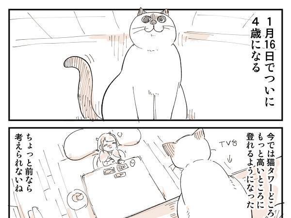 展開に猫飼いから「笑って鼻水が出た」「超分かる」　『鈍くさい子猫』が４年後？